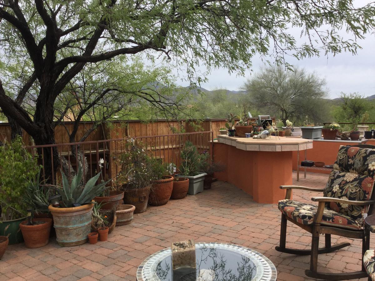 Spur Cross Inn Cave Creek Exterior foto